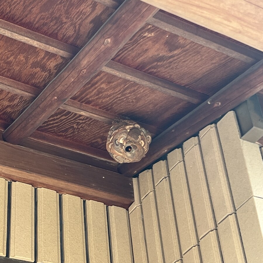 玄関付近の軒下にスズメバチの巣がある施工前の状態